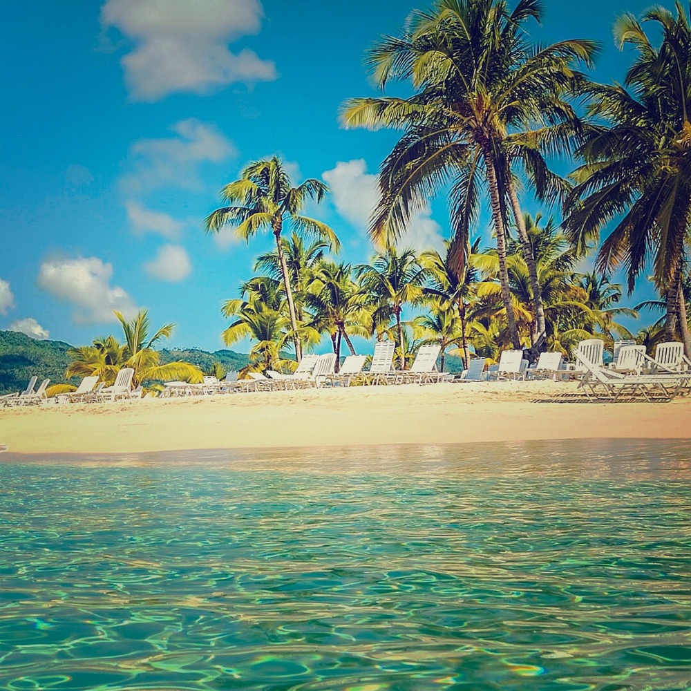 Any reasonable offer accepted ⭐️